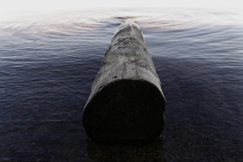 无人,横图,俯视,室外,特写,白天,旅游,度假,湖,湖泊,美景,水,一根,阴影,漂浮,光线,浮木,影子,湖面,景观,水流,水面,树桩,娱乐,树,树干,阳光,自然,湖水,享受,休闲,木桩,景色,放松,圆木,自然风光,彩图,高角度拍摄