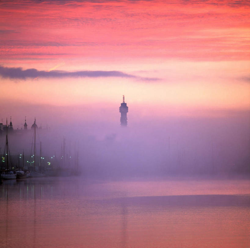 无人,横图,室外,白天,正面,草地,草坪,美景,日落,植物,雾,道路,覆盖,朦胧,模糊,平静,信息,景观,晚霞,霞光,落日,灯塔,交通,背光,方向,草,绿色,倒影,自然,黄昏,包围,景色,彩霞,安静,引导,指引,宁静,迷雾,倒映,静谧,自然风光,逆光,沉静,笼罩,恬静,航标,安祥,僻静,清静,太平,夕照,反照,大雾,夕阳,彩图,导航,斜阳