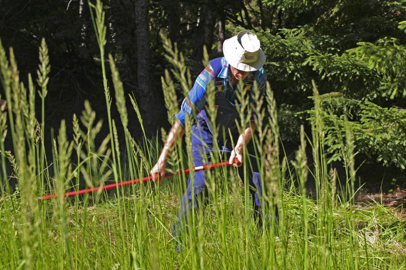 西方人,一个人,站,蹲,横图,室外,白天,正面,草地,草坪,植物,摆设,帽子,欧洲,欧洲人,仅一个男性,仅一个人,仅一个中年男性,握,阴影,服装,平静,光线,工具,影子,拿,拿着,休闲装,设备,草,树,树木,衣服,红色,绿色,阳光,自然,遮阳帽,站着,休闲,休闲服,安静,茂密,握着,服饰,茂盛,生长,成长,宁静,静谧,装备,镰刀,沉静,恬静,安祥,僻静,清静,太平,对象,设置,男人,男性,中年男性,白种人,蹲着,站立,彩图,全身