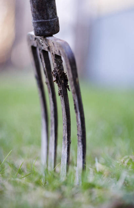 无人,竖图,室外,特写,白天,正面,草地,草坪,植物,金属制品,阴影,朦胧,模糊,光线,金属,工具,影子,草,一个,绿色,阳光,单个,挖掘,耙子,农具,耕具,开掘,发掘,开垦,彩图