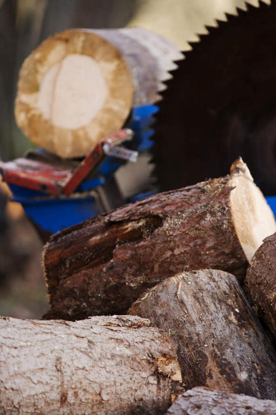 无人,竖图,室外,特写,白天,正面,阴影,锐利,光线,工具,木材,影子,树皮,树桩,木柴,树,树干,阳光,木桩,木料,锯子,伐木,锋利,电锯,尖锐,切割,锯,尖利,砍木,犀利,厉害,动力锯,彩图,割