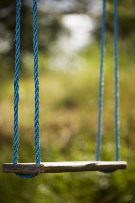 无人,竖图,室外,特写,白天,正面,游戏,草地,草坪,植物,摇摆,阴影,朦胧,模糊,光线,影子,玩,娱乐,草,树,树木,绿色,阳光,自然,秋千,荡秋千,休闲,生长,成长,活动,摇晃,玩耍,嬉戏,彩图