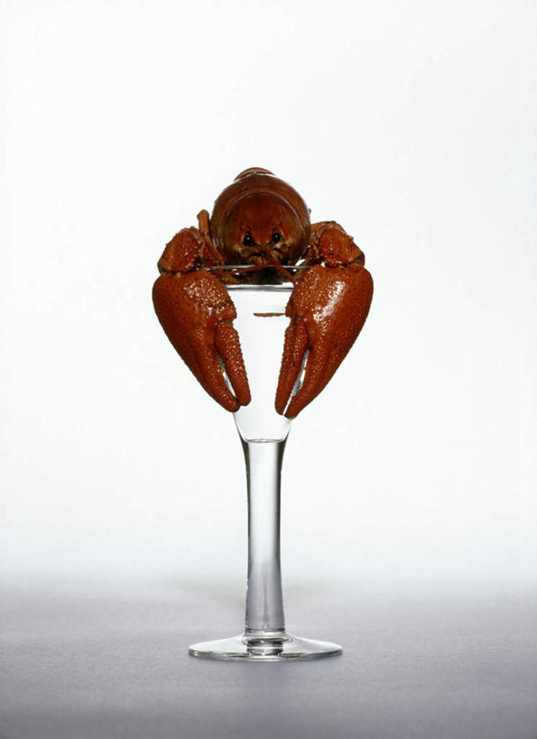 蟹,红酒,葡萄酒,无人,竖图,室内,特写,白天,正面,桌面,桌子,静物,杯子,节日,庆祝,螃蟹,高脚杯,白葡萄酒,酒类,一杯,文化,玻璃制品,酒,饮料,酒杯,鸡尾酒,庆典,万圣节,调酒,纪念,创造,想象,马提尼,马提尼酒,鸡尾酒杯,玻璃杯,彩图