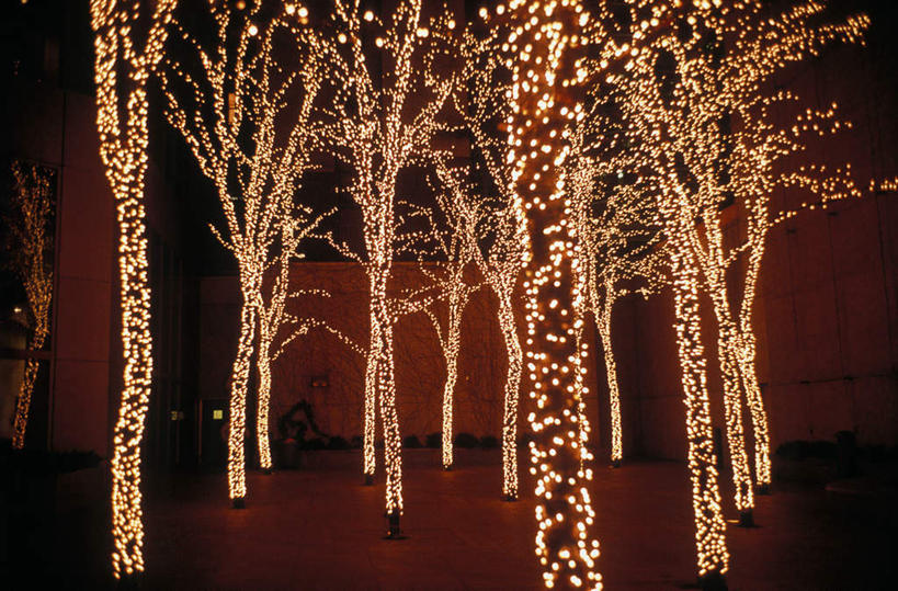 无人,横图,彩色,室外,夜晚,正面,聚会,霓虹灯,圣诞节,形状,节日,庆祝,装饰,平静,灯光,七彩,文化,光源,霓虹,灯,庆典,安静,纪念,宁静,华丽,修饰,点缀,照明设备,静谧,集会,氖灯,衬托,美观,雅致,雅观,沉静,形态,外形,恬静,安祥,僻静,清静,太平,聚首,彩图