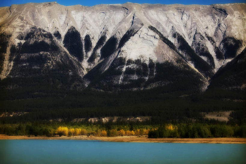 无人,横图,室外,白天,仰视,旅游,度假,草地,草坪,河流,美景,山,水,雪,雪山,植物,大雪,加拿大,阴影,光线,影子,冰,河水,积雪,景观,山峰,水流,雪景,冬季,冬天,山峦,娱乐,草,树,树木,蓝色,绿色,蓝天,天空,阳光,自然,天,享受,休闲,景色,放松,寒冷,生长,晴朗,成长,冰冷,北美,北美洲,自然风光,美洲,阿尔伯塔省,万里无云,阿尔伯塔,北亚美利加洲,亚美利加洲,严寒,冰凉,酷寒,凛冽,凛凛,极冷,艾伯塔,艾伯塔省,晴空,晴空万里,彩图,低角度拍摄