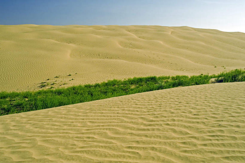 无人,横图,室外,白天,正面,旅游,度假,草地,草坪,美景,沙漠,植物,加拿大,阴影,光线,影子,地平线,景观,辽阔,地面,娱乐,草,蓝色,绿色,蓝天,天空,阳光,自然,天,享受,休闲,广阔,景色,放松,晴朗,一望无际,北美,北美洲,自然风光,延伸,美洲,万里无云,天地相交,北亚美利加洲,亚美利加洲,萨省,萨斯喀彻温省,无边无际,一马平川,大漠,砂漠,晴空,晴空万里,彩图