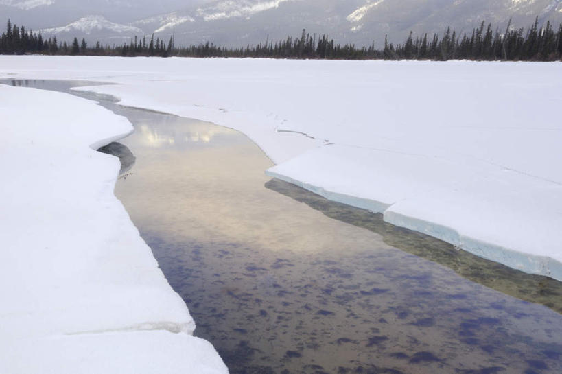 无人,公园,横图,室外,白天,正面,旅游,度假,河流,美景,树林,水,雪,植物,大雪,加拿大,阴影,光线,影子,河水,积雪,景观,水流,雪景,云,云朵,冬季,冬天,云彩,娱乐,树,树木,蓝色,绿色,白云,蓝天,天空,阳光,自然,天,享受,休闲,景色,放松,寒冷,生长,晴朗,成长,北美,北美洲,国家公园,自然风光,美洲,阿尔伯塔省,阿尔伯塔,北亚美利加洲,亚美利加洲,严寒,艾伯塔,艾伯塔省,贾斯珀国家公园,晴空,彩图