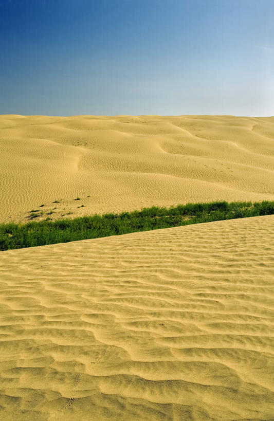 无人,竖图,室外,白天,正面,旅游,度假,草地,草坪,美景,沙漠,植物,加拿大,阴影,光线,影子,地平线,景观,辽阔,地面,娱乐,草,蓝色,绿色,蓝天,天空,阳光,自然,天,享受,休闲,广阔,景色,放松,晴朗,一望无际,北美,北美洲,自然风光,延伸,美洲,万里无云,天地相交,北亚美利加洲,亚美利加洲,萨省,萨斯喀彻温省,无边无际,一马平川,大漠,砂漠,晴空,晴空万里,彩图