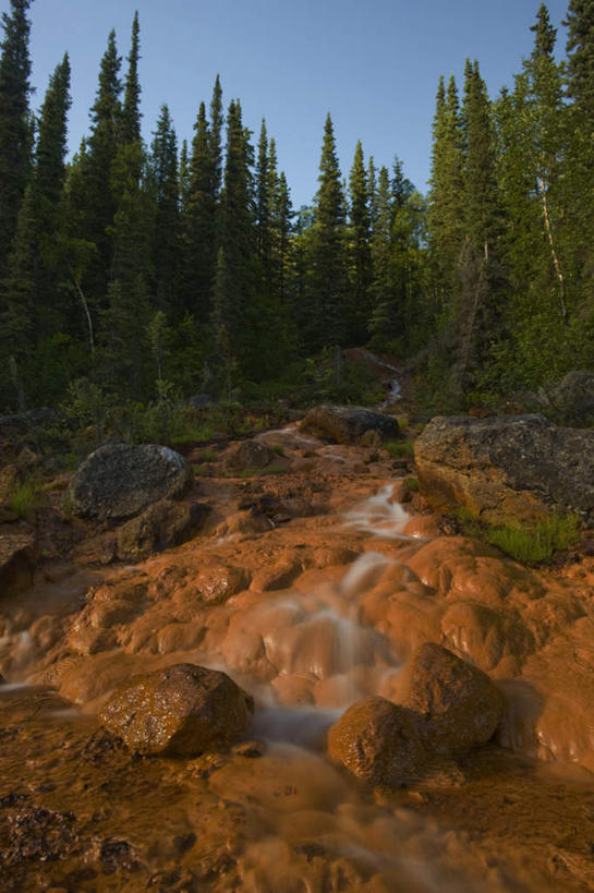 无人,竖图,俯视,室外,白天,旅游,度假,石头,美景,森林,树林,溪流,植物,加拿大,阴影,光线,石子,影子,景观,娱乐,树,树木,蓝色,绿色,蓝天,天空,小溪,阳光,自然,天,享受,休闲,景色,放松,生长,晴朗,成长,北美,北美洲,自然风光,美洲,万里无云,北亚美利加洲,亚美利加洲,西北地区,石块,岩石,晴空,晴空万里,彩图,高角度拍摄