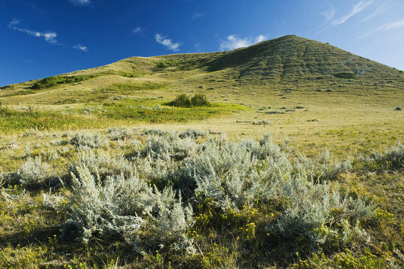 无人,横图,室外,白天,正面,草地,草原,石头,美景,山,山脉,植物,加拿大,阴影,光线,石子,影子,景观,旷野,山峰,云,云朵,山峦,云彩,草,蓝色,绿色,白云,蓝天,天空,阳光,自然,群山,天,广阔,宽广,景色,晴朗,北美,北美洲,宽阔,自然风光,原野,美洲,北亚美利加洲,亚美利加洲,广大,石块,岩石,晴空,彩图