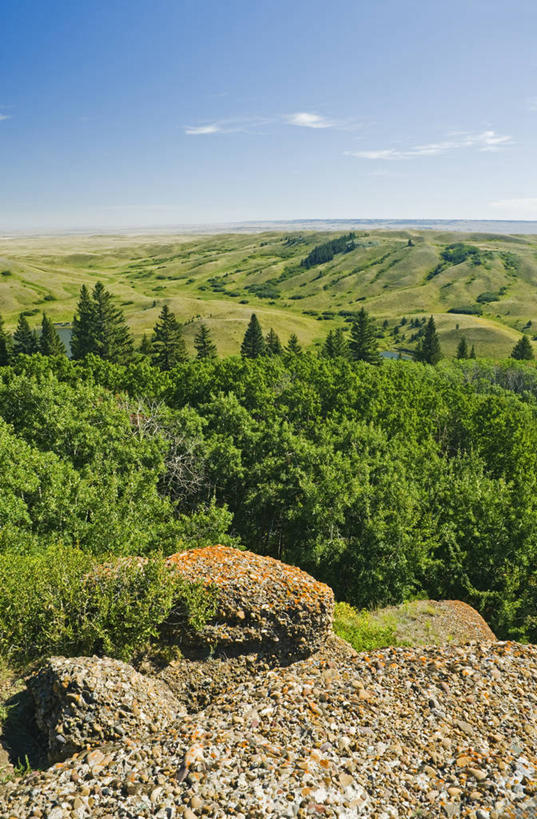 无人,竖图,俯视,室外,白天,草地,草原,石头,美景,山,山脉,树林,植物,加拿大,一堆,阴影,堆叠,堆积,光线,石子,影子,景观,旷野,山峰,云,云朵,山峦,云彩,草,树,树木,蓝色,绿色,白云,蓝天,天空,阳光,自然,群山,天,广阔,宽广,景色,生长,晴朗,成长,堆,北美,北美洲,宽阔,自然风光,原野,美洲,北亚美利加洲,亚美利加洲,广大,石块,岩石,晴空,彩图,高角度拍摄