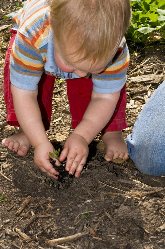 西方人,婴儿,儿童,家庭,父亲,站,竖图,俯视,室外,白天,纯洁,植物,欧洲,欧洲人,一堆,弯腰,种植,阴影,堆叠,堆积,服装,枯萎,光线,影子,泥土,土壤,枯草,注视,休闲装,草,小孩,衣服,黄色,阳光,观察,看,站着,休闲,温暖,温馨,一家人,休闲服,父爱,可爱,童年,童趣,服饰,活泼,观看,堆,和睦,察看,栽培,栽种,关注,宝宝,童真,纯真,烂漫,无邪,弯身,莳植,伶俐,天真,男人,男性,年轻男性,白种人,孩子,年轻人,站立,彩图,高角度拍摄,全身,融洽