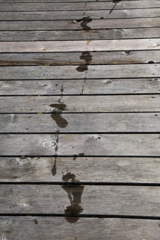 无人,竖图,俯视,室外,白天,地板,一排,脚印,阴影,整齐,光线,影子,地面,木地板,排列,阳光,足迹,队列,行踪,脚迹,彩图,高角度拍摄