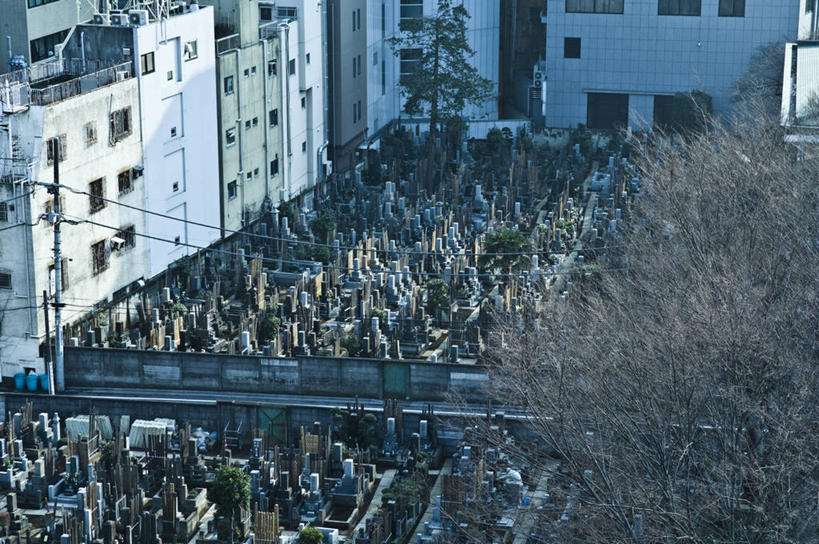 无人,家,横图,俯视,室外,白天,度假,草地,草坪,美景,植物,城市风光,城市,道路,路,公路,东京,日本,亚洲,阴影,电力,光线,白线,电线,电线杆,线,影子,房屋,屋子,景观,电能,交通,线路,娱乐,楼房,住宅,草,绿色,阳光,享受,休闲,景色,放松,电,电源,能量,东亚,本州,关东地方,本州岛,日本国,东京都,马路,彩图,高角度拍摄,房子