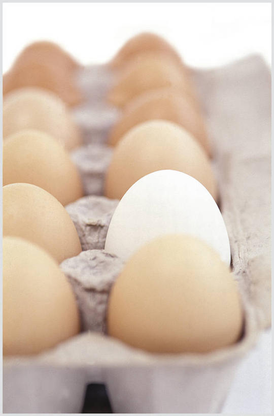 无人,竖图,俯视,室内,白天,白色背景,许多,阴影,环保,整齐,并列,并排,光线,蛋格,格子,影子,灯光,蛋,鸡蛋,排列,一个,黄色,白色,摄影,影棚,能源,两排,盒,回收,资源,队列,平行,反差,利用,低碳,鸡蛋盒,循环,鸡蛋格,蛋托,蛋盒,卵,持续,彩图,高角度拍摄,影棚拍摄,拍摄