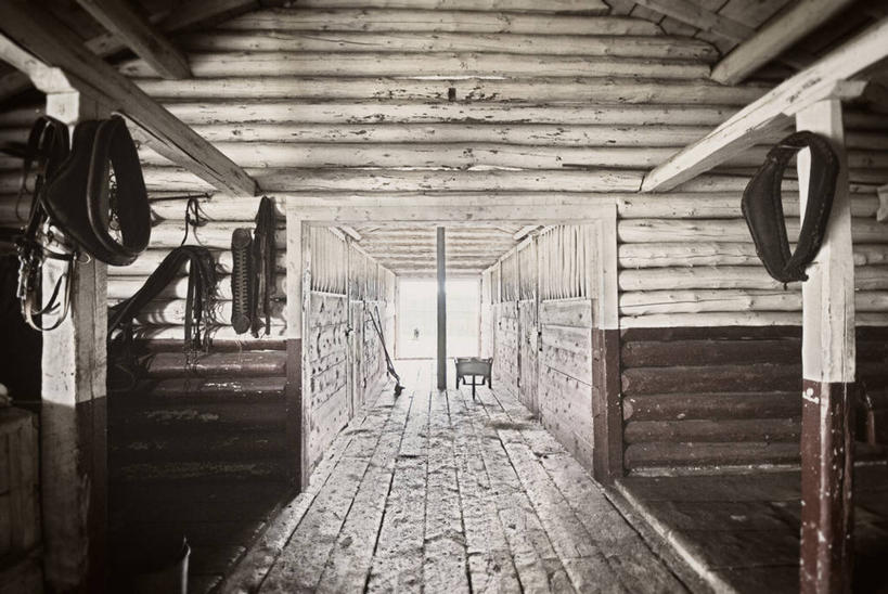 无人,家,横图,室内,白天,正面,地板,阴影,破旧,陈旧,平静,光线,木制,影子,房屋,屋子,走道,走廊,过道,地面,楼房,木地板,住宅,阳光,木制品,安静,宁静,荒废,静谧,沉静,恬静,安祥,僻静,清静,太平,荒疏,旷废,旷费,疏弃,芜秽,荒芜,彩图,房子