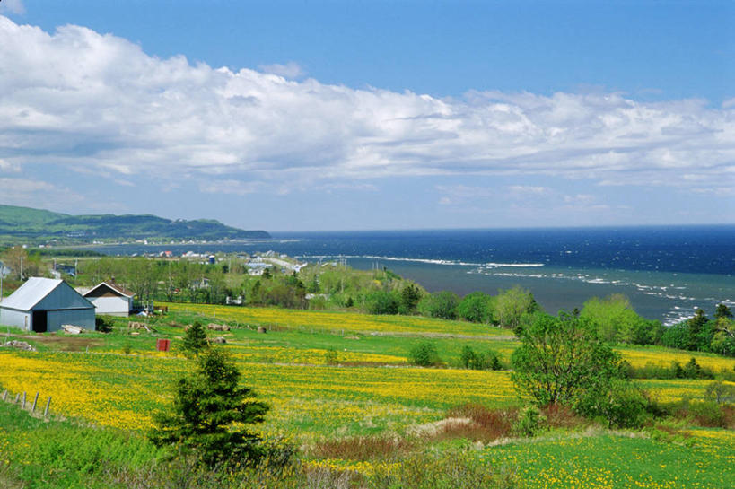 无人,家,农场,横图,室外,白天,正面,旅游,度假,畜牧业,牧场,草地,草坪,花海,花圃,石头,美景,山,山脉,植物,叶子,加拿大,阴影,波纹,盛开,光线,石子,影子,房屋,屋子,景观,山峰,水平线,云,云朵,辽阔,海平线,山峦,花蕾,云彩,娱乐,楼房,住宅,草,花,花瓣,花朵,花卉,鲜花,树,树木,蓝色,绿色,白云,蓝天,水纹,天空,阳光,自然,波浪,花丛,花束,花田,群山,天,花苞,花蕊,享受,休闲,广阔,景色,放松,茂盛,生长,晴朗,成长,一望无际,繁茂,北美,北美洲,自然风光,美洲,畜牧,牧业,北亚美利加洲,亚美利加洲,兴旺,昌盛,无边无际,一马平川,昌隆,畅旺,发达,蕃芜,繁盛,富强,隆盛,蓬勃,旺盛,兴隆,兴盛,郁勃,圣劳伦斯湾,石块,岩石,晴空,彩图,房子,水天相接,水天一线