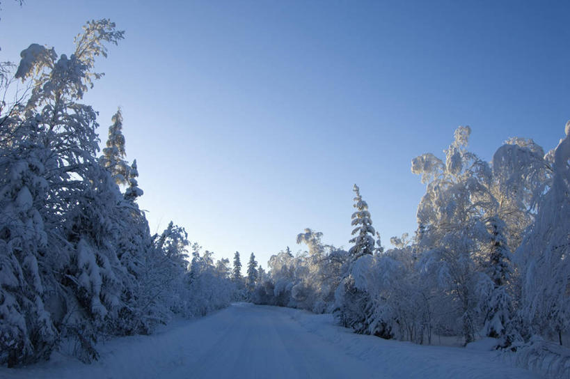 无人,横图,室外,白天,正面,美景,树林,雪,植物,大雪,加拿大,一堆,一排,阴影,堆叠,堆积,整齐,光线,影子,积雪,景观,雪景,冬季,冬天,树,树木,排列,蓝色,绿色,蓝天,天空,阳光,自然,天,景色,寒冷,生长,成长,堆,北美,北美洲,队列,自然风光,美洲,首府,北亚美利加洲,亚美利加洲,严寒,西北地区,耶罗纳夫,耶洛奈夫,彩图,黄刀镇