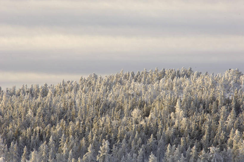 无人,横图,俯视,航拍,室外,白天,美景,日落,树林,雪,植物,大雪,加拿大,一堆,一排,阴影,堆叠,堆积,整齐,光线,影子,积雪,景观,晚霞,霞光,雪景,云,云朵,冬季,冬天,落日,云彩,树,树木,排列,蓝色,绿色,白云,蓝天,天空,阳光,自然,黄昏,天,景色,彩霞,寒冷,生长,晴朗,成长,堆,北美,北美洲,鸟瞰,队列,自然风光,美洲,首府,北亚美利加洲,亚美利加洲,严寒,西北地区,耶罗纳夫,夕照,耶洛奈夫,晴空,夕阳,彩图,高角度拍摄,黄刀镇,斜阳
