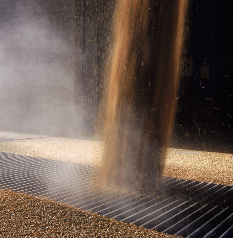 无人,农田,竖图,俯视,室外,白天,庄稼,农作物,阴影,环保,朦胧,模糊,光线,影子,垃圾桶,尘埃,阳光,容器,能源,储藏,垃圾箱,回收,灰尘,尘土,资源,储存,利用,低碳,循环,持续,彩图,高角度拍摄,耕地,庄稼田,贮存