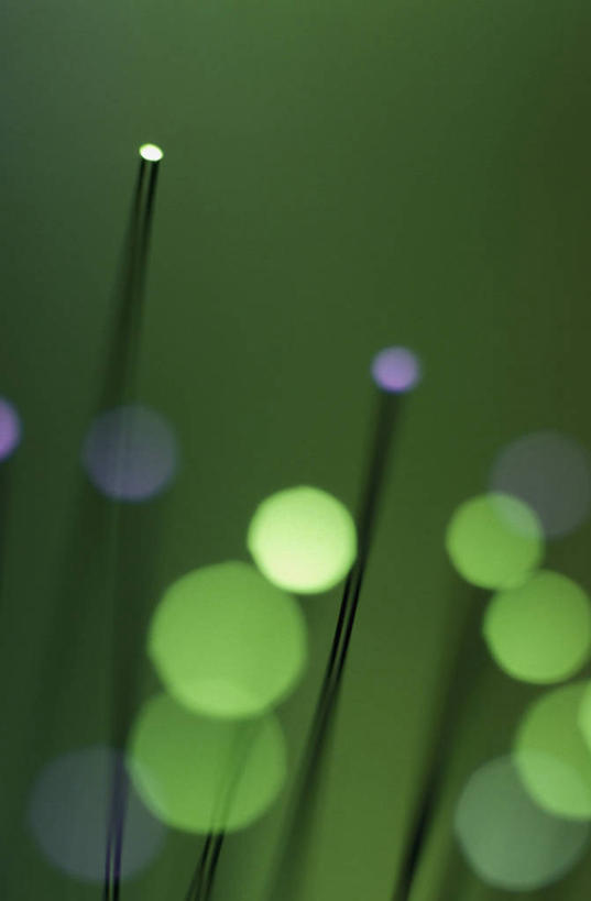 无人,竖图,室内,特写,白天,正面,技术,静物,阴影,形状,朦胧,模糊,反射,光纤,光线,影子,绿色,摄影,影棚,光导纤维,风格,气势,模样,式样,格调,派头,气概,作风,传输介质,全反射,传导工具,彩图,影棚拍摄,拍摄