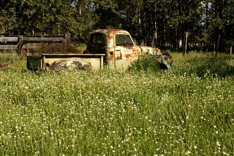 无人,栏杆,横图,室外,白天,正面,旅游,度假,草地,草坪,美景,植物,卡车,汽车,加拿大,阴影,生锈,盛开,光线,影子,栅栏,景观,篱笆,围栏,花蕾,娱乐,护栏,车,草,花,花瓣,花朵,鲜花,绿色,白色,阳光,自然,交通工具,花苞,花蕊,享受,休闲,景色,放松,腐蚀,侵蚀,北美,北美洲,荒废,自然风光,载具,美洲,北亚美利加洲,亚美利加洲,卑诗省,不列颠哥伦比亚,不列颠哥伦比亚省,荒疏,旷废,旷费,疏弃,芜秽,腐化,锈迹斑斑,荒芜,彩图