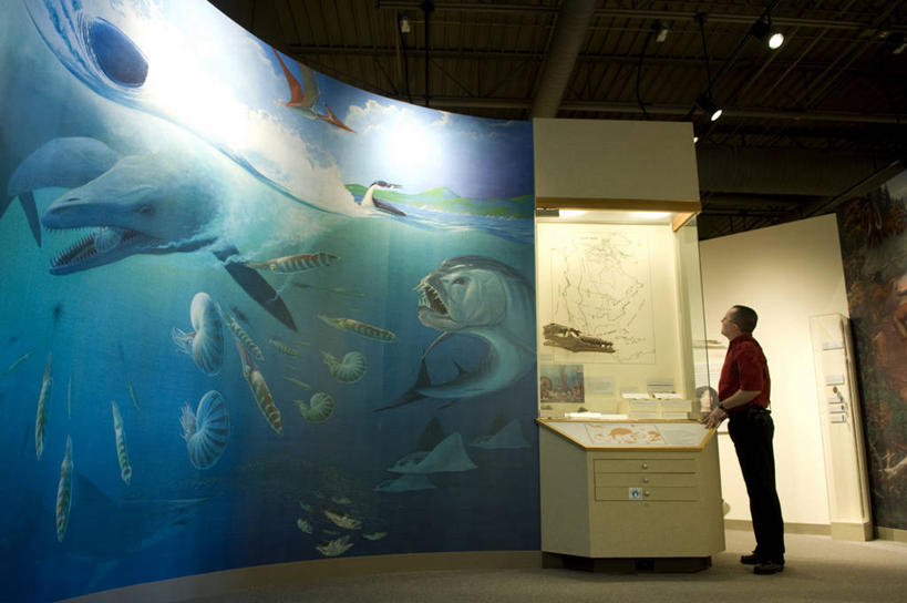 西方人,一个人,博物馆,站,横图,室内,白天,仰视,度假,绘画,美景,城市风光,城市,照明,欧洲,美国,欧洲人,仅一个男性,仅一个人,仅一个中年男性,阴影,服装,研究,艺术,装饰,反射,影子,墙,景观,灯光,教育,注视,休闲装,文化,娱乐,顶灯,壁画,墙壁,墙面,灯,衣服,灯具,观察,看,站着,享受,休闲,休闲服,景色,放松,服饰,观看,展览,华丽,修饰,照亮,点缀,察看,北美,北美洲,照明设备,关注,欣赏,美洲,陈列,北亚美利加洲,亚美利加洲,衬托,美观,雅致,雅观,北达科他,北达科他州,苏族之州,金翼啄木鸟尾之州,典藏,男人,男性,中年男性,白种人,画画,抬头,仰头,站立,彩图,低角度拍摄,全身,彭比纳县