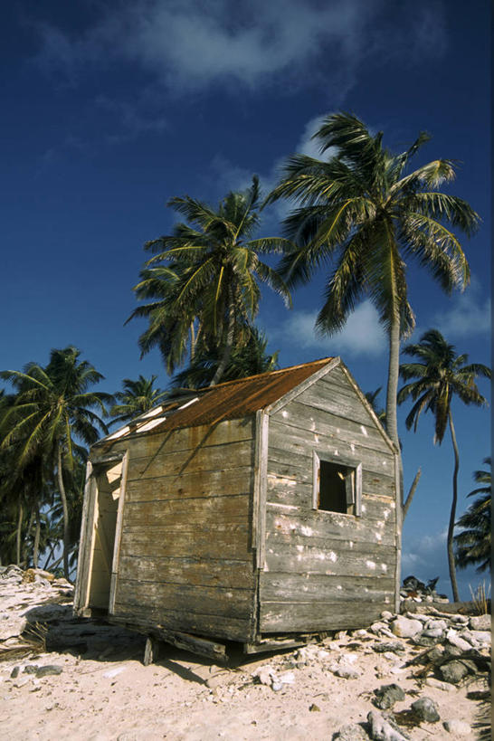 无人,家,竖图,室外,白天,正面,旅游,度假,美景,沙滩,植物,棕榈树,叶子,伯利兹,阴影,光线,沙子,影子,房屋,屋子,海岸,景观,云,云朵,绿叶,沙地,云彩,娱乐,楼房,住宅,树,树木,蓝色,绿色,白云,蓝天,天空,阳光,自然,天,享受,休闲,嫩叶,景色,放松,生长,晴朗,成长,中美洲,自然风光,美洲,棕榈叶,亚美利加洲,中美,中亚美利加洲,叶,叶片,海滩,晴空,彩图,房子