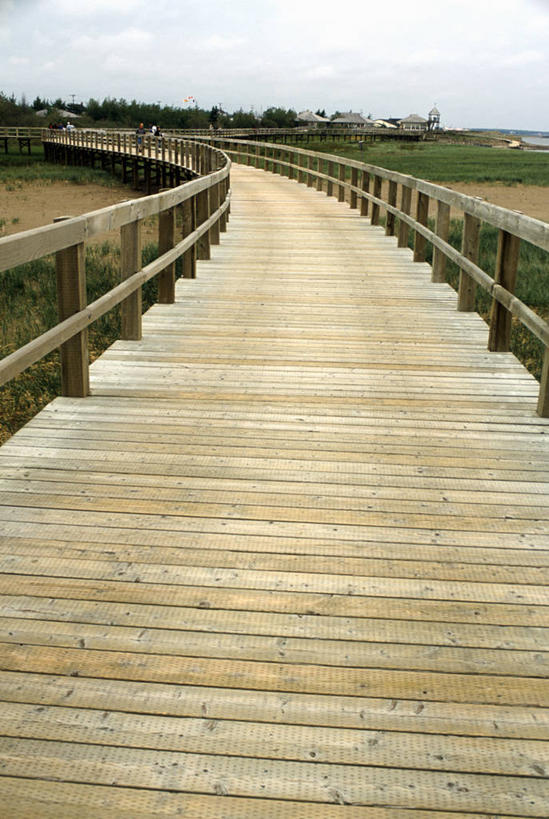 无人,栏杆,竖图,室外,白天,正面,旅游,度假,草地,草坪,美景,植物,楼梯,加拿大,阴影,光线,扶手,木板,影子,阶梯,景观,云,云朵,桥,木桥,云彩,娱乐,护栏,台阶,栈桥,草,树,树木,蓝色,绿色,白云,蓝天,天空,阳光,自然,天,享受,休闲,景色,放松,生长,晴朗,成长,人行桥,木板桥,北美,北美洲,自然风光,美洲,北亚美利加洲,亚美利加洲,新不伦瑞克,新不伦瑞克省,晴空,彩图