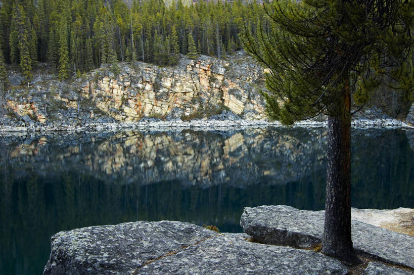 无人,公园,横图,室外,白天,正面,石头,美景,树林,植物,加拿大,阴影,粗糙,平静,光线,石子,影子,景观,树,树木,绿色,阳光,自然,景色,安静,生长,成长,宁静,毛糙,北美,北美洲,国家公园,静谧,自然风光,美洲,阿尔伯塔省,阿尔伯塔,北亚美利加洲,亚美利加洲,沉静,恬静,安祥,僻静,清静,太平,艾伯塔,艾伯塔省,贾斯珀国家公园,石块,岩石,彩图,粗拙