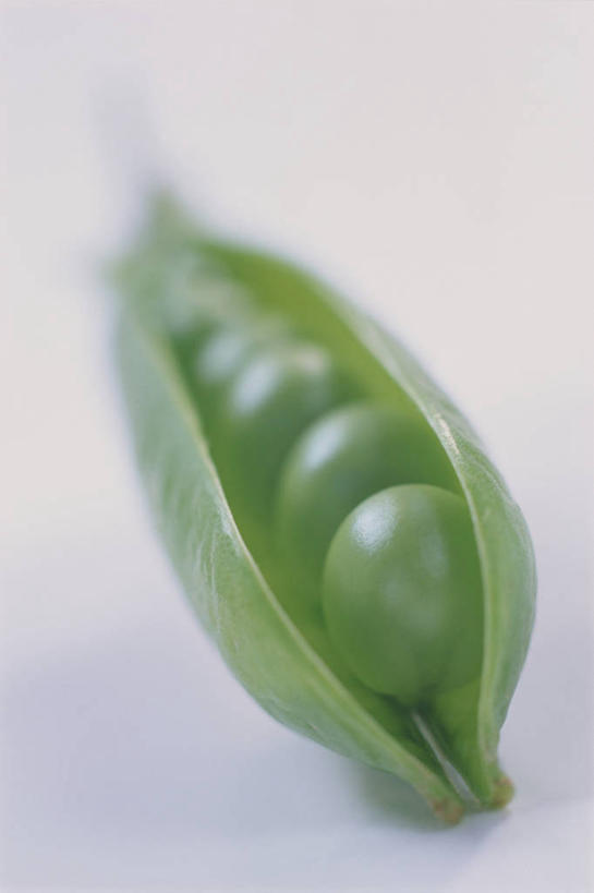 无人,竖图,俯视,室内,特写,白天,白色背景,植物,蔬菜,阴影,朦胧,模糊,新鲜,光线,影子,豆类,豆子,豌豆,食品,豆荚,荷兰豆,食物,一个,摄影,有机食品,绿色食品,影棚,单个,雪豆,豆科,寒豆,毕豆,麻累,国豆,小寒豆,麦豌豆,彩图,高角度拍摄,影棚拍摄,拍摄