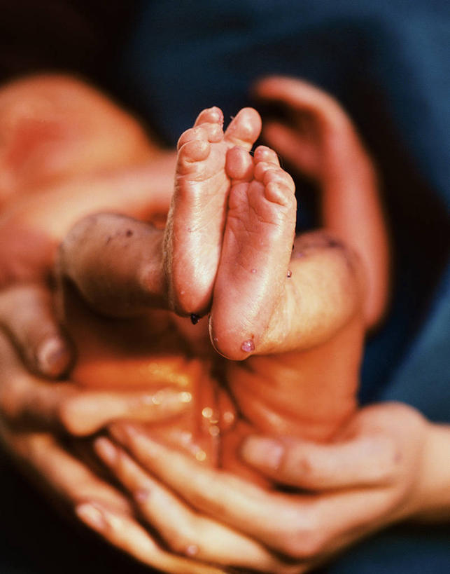 婴儿,儿童,手,两个人,医生,躺,闭眼,捧,竖图,室内,特写,白天,正面,纯洁,注视,小孩,观察,看,医护人员,医疗人员,手部,可爱,活泼,观看,察看,分娩,关注,宝宝,纯真,烂漫,无邪,临盆,临蓐,卧着,伶俐,天真,女人,女性,中年女性,孩子,大夫,闭眼睛,闭着眼,闭着眼睛,端,端着,捧着,手捧,躺着,卧,半身,彩图