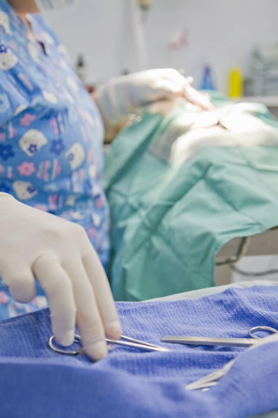 西方人,手,一个人,医生,医院,站,竖图,室内,特写,白天,侧面,工作服,制服,床,金属制品,欧洲,欧洲人,仅一个女性,仅一个人,握,修剪,金属,工具,剪刀,拿,拿着,手套,站着,仅一个中年女性,医护人员,医疗人员,手部,橡胶,握着,单手,裁剪,医疗设备,手术室,剪子,剪裁,切割,医疗器械,防护服,橡胶手套,手术台,隔离服,橡胶制品,无菌服,医疗机构,手术床,医用手套,手术剪刀,手术剪,工作制服,女人,女性,中年女性,白种人,大夫,站立,半身,彩图,工作套服,病院,诊所,防静电工装,隔工作服,洁净工装,洁净工作服,净化服,无尘工作服,无尘衣