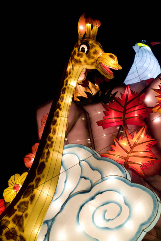 无人,竖图,室外,夜晚,仰视,旅游,度假,美景,城市风光,标志建筑,城市,地标,建筑,哺乳动物,长颈鹿,企鹅,野生动物,加拿大,阴影,形状,光线,影子,景观,灯光,娱乐,建设,黄色,红色,动物,交通工具,享受,休闲,旅游胜地,景色,放松,可爱,彩车,活泼,北美,北美洲,载具,美洲,多伦多,省会,北亚美利加洲,亚美利加洲,形态,外形,安大略省,安省,北方好莱坞,多伦多市,半身,彩图,低角度拍摄,安省游乐宫