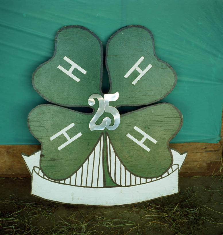 无人,竖图,室外,特写,白天,正面,自由,英文,标志,文字,字符,字母,墙,四叶草,标识,墙壁,墙面,幸运草,绿色,英文字母,和平,牛角花,统一,团结,幸运,彩图