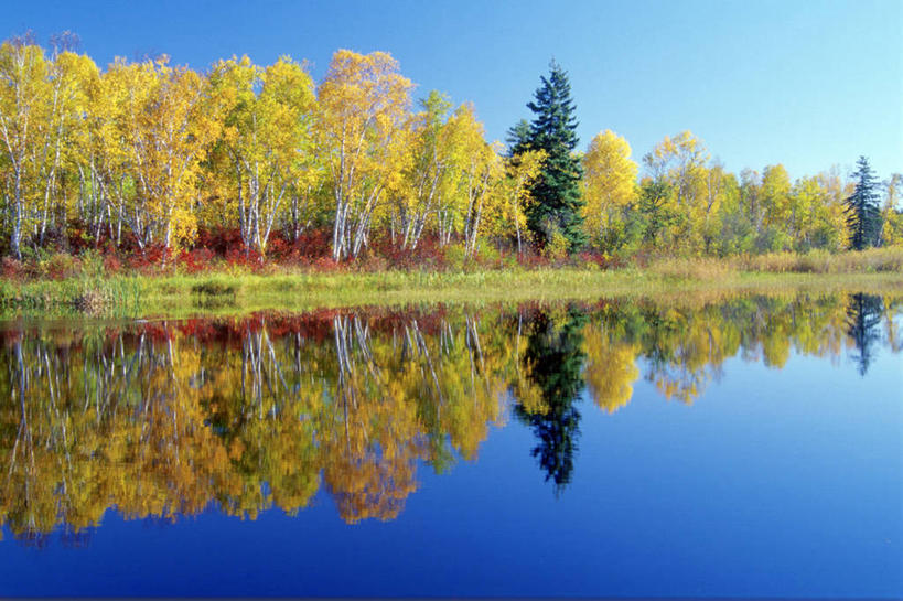 无人,横图,室外,白天,正面,旅游,度假,草地,草坪,湖,湖泊,美景,水,植物,加拿大,阴影,光线,影子,湖面,景观,水流,水面,娱乐,草,树,树木,蓝色,绿色,倒影,蓝天,天空,阳光,自然,湖水,天,享受,休闲,景色,放松,生长,晴朗,成长,倒映,北美,北美洲,自然风光,美洲,万里无云,北亚美利加洲,亚美利加洲,马尼托巴,马尼托巴省,曼尼托巴省,反照,晴空,晴空万里,彩图,曼省,缅尼托巴省,缅省