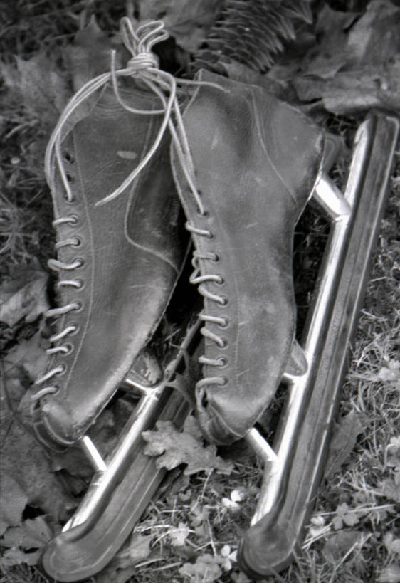 无人,竖图,俯视,黑白,室外,特写,白天,锻炼,运动,滚轴溜冰,草地,草坪,植物,叶子,一双,枯叶,落叶,旱冰鞋,溜冰鞋,草,绿色,轮滑鞋,单排轮滑,体育,溜冰,轮滑,叶,叶片,高角度拍摄,健身