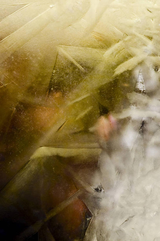 无人,竖图,室外,白天,正面,旅游,度假,美景,叶子,阴影,朦胧,模糊,光线,影子,景观,泥土,土壤,绿叶,娱乐,阳光,自然,享受,休闲,嫩叶,景色,放松,复杂,沼泽,自然风光,池沼,叶,叶片,彩图