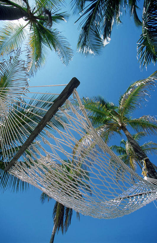 无人,竖图,室外,白天,仰视,旅游,度假,美景,植物,床,吊床,棕榈树,叶子,伯利兹,吊挂,悬挂,景观,绿叶,挂,娱乐,树,树木,蓝色,绿色,蓝天,天空,阳光,自然,天,享受,休闲,嫩叶,景色,放松,生长,晴朗,成长,中美洲,安逸,自然风光,美洲,棕榈叶,万里无云,亚美利加洲,安适,清闲,中美,中亚美利加洲,叶,叶片,晴空,晴空万里,彩图,低角度拍摄