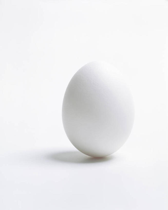 无人,竖图,室内,特写,白天,白色背景,正面,阴影,形状,光线,影子,灯光,蛋,鸡蛋,营养,一个,摄影,影棚,单个,草鸡蛋,卵,形态,外形,养分,彩图,影棚拍摄,拍摄