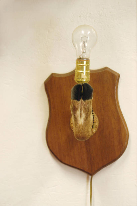 无人,竖图,室内,白天,白色背景,正面,照明,阴影,光线,灯泡,影子,灯光,插座,灯,一个,灯具,摄影,白炽灯,影棚,照亮,照明工具,白炽灯泡,彩图,影棚拍摄,拍摄