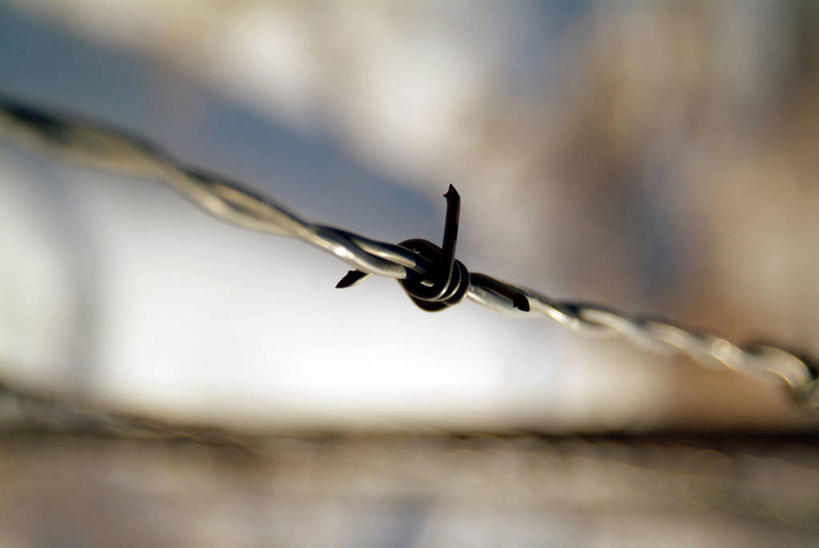 无人,横图,室外,白天,正面,安全,阴影,朦胧,模糊,光线,影子,防护,铁丝网,阳光,保护,保险,保全,周全,安稳,安定,铁蒺藜,平安,彩图