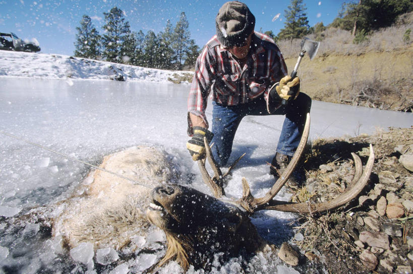西方人,一个人,站,横图,室外,白天,正面,旅游,度假,美景,哺乳动物,鹿,野生动物,帽子,欧洲,美国,欧洲人,仅一个男性,仅一个人,服装,工具,景观,注视,休闲装,娱乐,运动帽,仅一个年轻男性,衣服,自然,动物,低头,观察,看,站着,享受,休闲,休闲服,鸭舌帽,景色,放松,可爱,服饰,活泼,观看,察看,北美,北美洲,关注,自然风光,美洲,斧头,科罗拉多州,科罗拉多,北亚美利加洲,亚美利加洲,四不像,斧子,百年州,大卫神父鹿,四不象,男人,男性,年轻男性,白种人,麋鹿,站立,彩图,全身