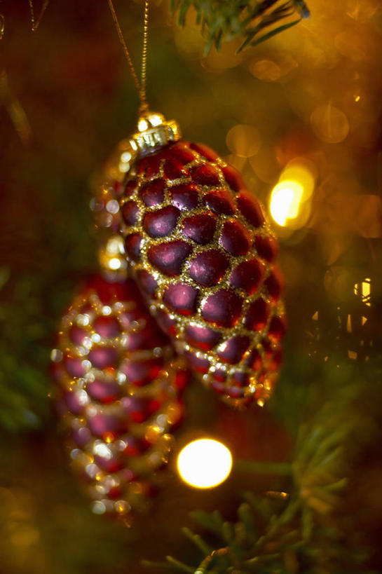 无人,竖图,室内,特写,白天,正面,兴奋,植物,圣诞节,阴影,节日,朦胧,模糊,庆祝,装饰,光线,挂饰,影子,灯光,圣诞树,圣诞球,文化,球,树,树木,红色,绿色,庆典,球体,生长,成长,欢快,纪念,华丽,修饰,喜悦,点缀,欢腾,衬托,美观,雅致,雅观,庆幸,彩图,高兴,欢乐,开心,愉快