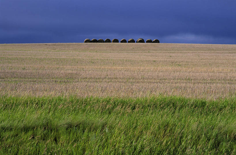 无人,横图,室外,白天,正面,旅游,度假,草地,草原,美景,植物,加拿大,一堆,一排,阴影,堆叠,堆积,枯萎,整齐,光线,影子,景观,旷野,云,云朵,枯草,云彩,娱乐,草,排列,黄色,蓝色,绿色,白云,蓝天,天空,阳光,自然,草垛,天,享受,休闲,广阔,宽广,景色,放松,晴朗,堆,北美,北美洲,队列,宽阔,自然风光,原野,美洲,北亚美利加洲,亚美利加洲,广大,萨省,萨斯喀彻温省,晴空,彩图