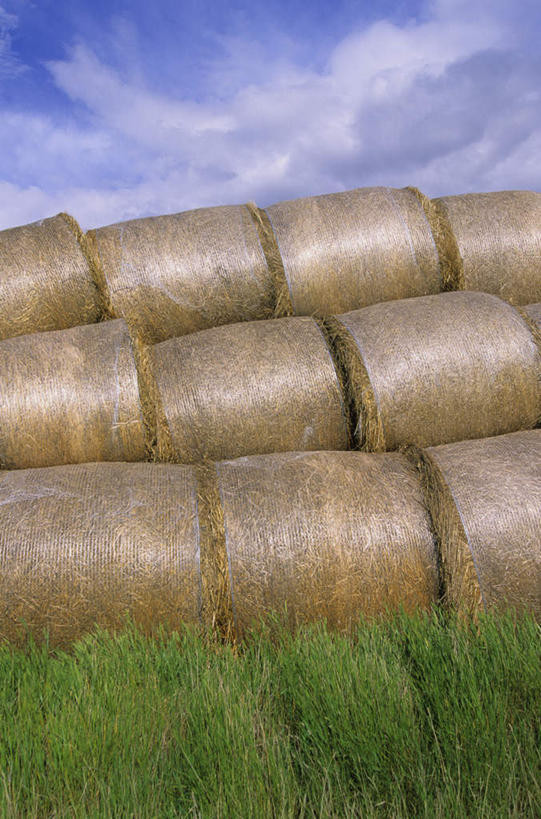 无人,竖图,室外,白天,正面,旅游,度假,草地,草坪,美景,植物,加拿大,一堆,阴影,堆叠,堆积,透明,光线,影子,景观,云,云朵,干草,辉煌,云彩,娱乐,草,黄色,蓝色,绿色,白云,蓝天,天空,阳光,自然,草垛,天,享受,休闲,健康,景色,放松,活泼,晴朗,希望,堆,暖色,北美,北美洲,自然风光,美洲,光辉,北亚美利加洲,亚美利加洲,光明,功名,轻快,萨省,萨斯喀彻温省,干草垛,晴空,彩图