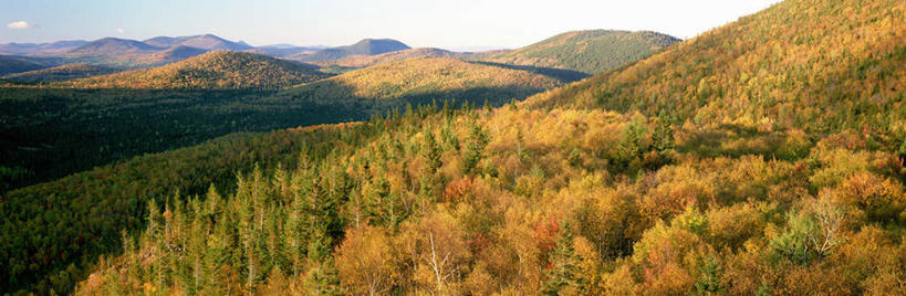 无人,横图,俯视,室外,白天,旅游,度假,美景,森林,山,山脉,树林,植物,雾,加拿大,阴影,朦胧,模糊,光线,影子,景观,山峰,云,云朵,山峦,云彩,娱乐,树,树木,蓝色,绿色,白云,蓝天,天空,阳光,自然,群山,天,享受,休闲,景色,放松,生长,晴朗,成长,迷雾,北美,北美洲,自然风光,美洲,北亚美利加洲,亚美利加洲,新不伦瑞克,新不伦瑞克省,大雾,晴空,彩图,高角度拍摄