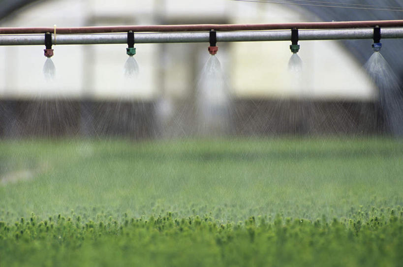 无人,家,横图,室外,白天,正面,旅游,度假,草地,草坪,美景,水,植物,加拿大,阴影,飞溅,溅,光线,液体,影子,房屋,屋子,景观,水滴,娱乐,喷水,楼房,住宅,水珠,草,绿色,阳光,自然,享受,休闲,景色,放松,洒水,北美,北美洲,喷洒,自然风光,美洲,北亚美利加洲,亚美利加洲,马尼托巴,马尼托巴省,曼尼托巴省,彩图,房子