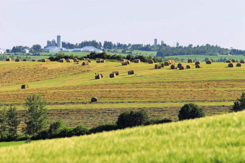 无人,工厂,横图,室外,白天,正面,旅游,度假,草地,草坪,美景,植物,加拿大,许多,阴影,光线,影子,景观,很多,娱乐,草,树,树木,蓝色,绿色,蓝天,天空,阳光,自然,草垛,天,享受,休闲,景色,放松,生长,晴朗,成长,工场,北美,北美洲,自然风光,美洲,万里无云,北亚美利加洲,亚美利加洲,魁北克省,晴空,晴空万里,彩图