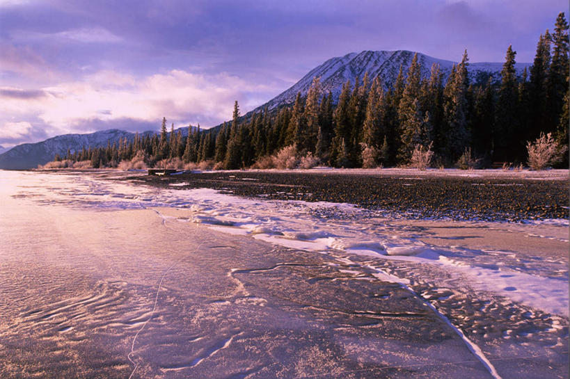 无人,横图,室外,白天,正面,旅游,度假,河流,石头,美景,森林,山,树林,水,雪,雪山,植物,大雪,加拿大,阴影,波纹,光线,石子,影子,冰,河水,积雪,景观,山峰,水流,雪景,云,云朵,冬季,冬天,山峦,云彩,娱乐,树,树木,蓝色,绿色,白云,蓝天,水纹,天空,阳光,自然,波浪,天,享受,休闲,景色,放松,寒冷,生长,成长,冰冷,北美,北美洲,自然风光,美洲,首府,北亚美利加洲,亚美利加洲,严寒,冰凉,酷寒,凛冽,凛凛,极冷,育空,育空地区,白马市,怀特霍斯,石块,岩石,彩图